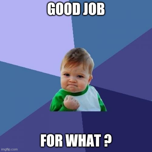 no no no | GOOD JOB; FOR WHAT ? | image tagged in memes,success kid | made w/ Imgflip meme maker