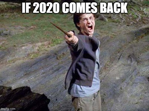 Harry Potter Yelling | IF 2020 COMES BACK | image tagged in harry potter yelling | made w/ Imgflip meme maker