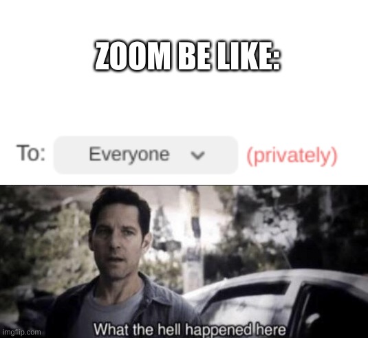 This doesn't make sense | ZOOM BE LIKE: | image tagged in blank white space for pasting,what the hell happened here,memes,zoom,funny,lol | made w/ Imgflip meme maker