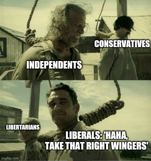 The logic of it all.. | INDEPENDENTS; CONSERVATIVES; LIBERTARIANS; LIBERALS: 'HAHA, TAKE THAT RIGHT WINGERS' | image tagged in first time buster scruggs james franco hanging alternate | made w/ Imgflip meme maker