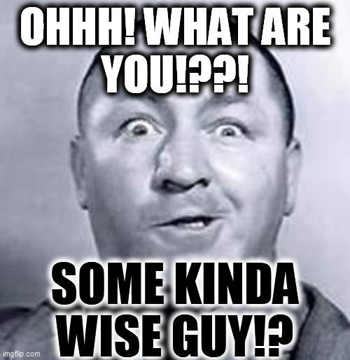 Curly | OHHH! WHAT ARE
YOU!??! SOME KINDA
WISE GUY!? | image tagged in curly | made w/ Imgflip meme maker