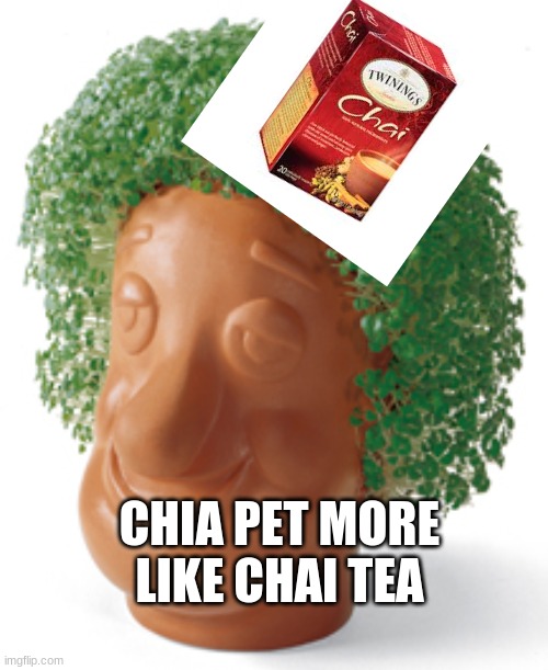 Chia | CHIA PET MORE LIKE CHAI TEA | image tagged in chia | made w/ Imgflip meme maker