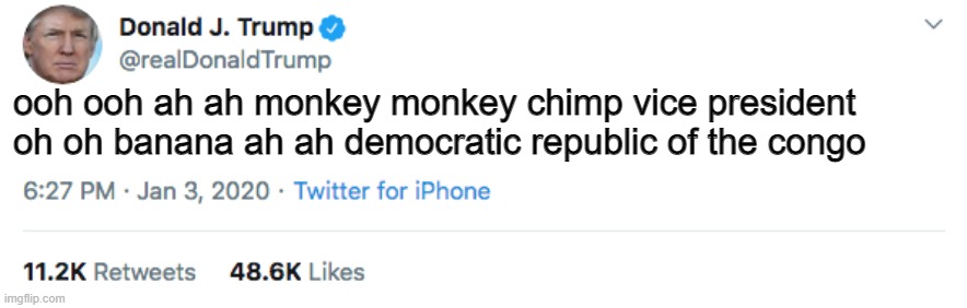 YOOOOOO | ooh ooh ah ah monkey monkey chimp vice president oh oh banana ah ah democratic republic of the congo | image tagged in monkey,chimp,monkey business,donald trump,trump | made w/ Imgflip meme maker