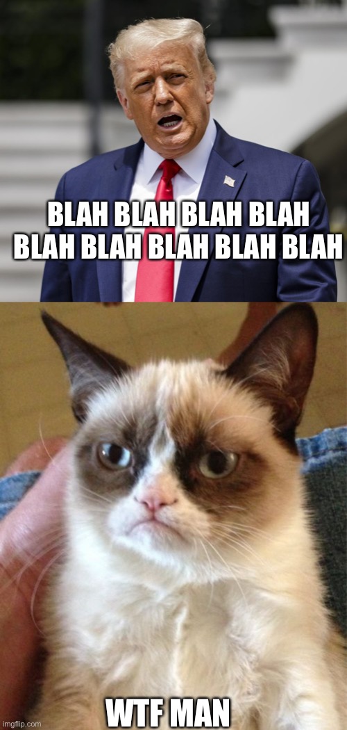 BLAH BLAH BLAH BLAH BLAH BLAH BLAH BLAH BLAH; WTF MAN | image tagged in blah blah blah,memes,grumpy cat | made w/ Imgflip meme maker