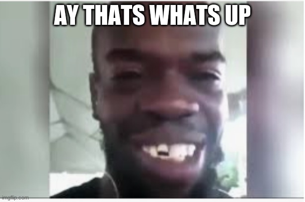 ahhh go crazy ahh go stupid | AY THATS WHATS UP | image tagged in ahhh go crazy ahh go stupid | made w/ Imgflip meme maker