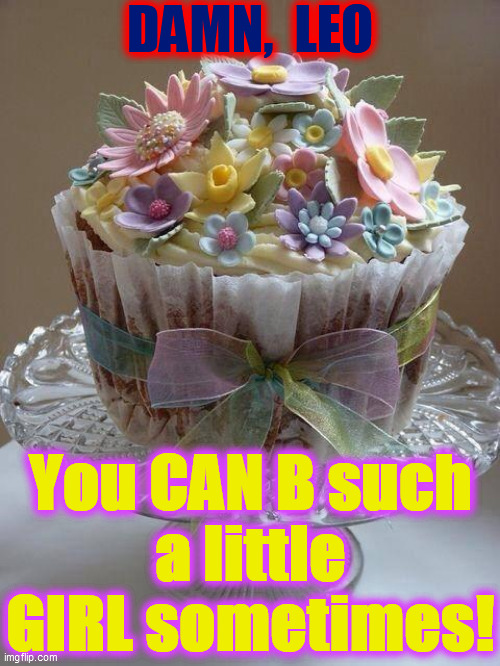 Flowery cupcake | DAMN,  LEO You CAN B such
a little
GIRL sometimes! | image tagged in flowery cupcake | made w/ Imgflip meme maker