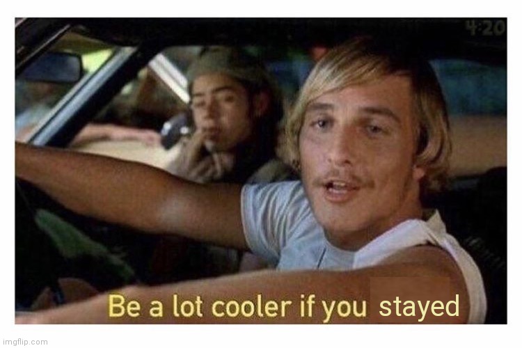 Be a lot cooler if you did | stayed | image tagged in be a lot cooler if you did | made w/ Imgflip meme maker