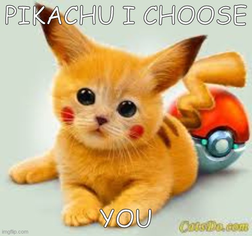 cute pikachu | PIKACHU I CHOOSE; YOU | image tagged in cute cat,change my mind,pikachu | made w/ Imgflip meme maker