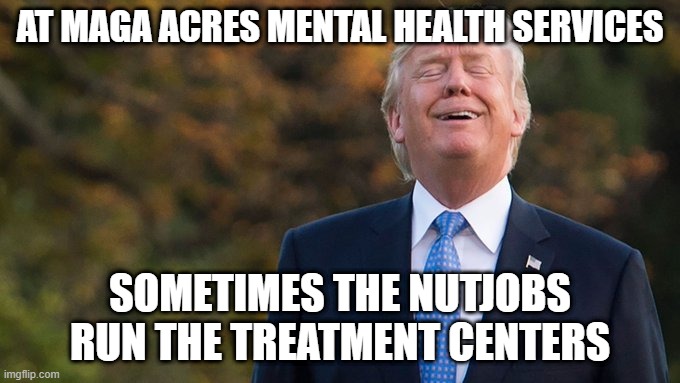 MAGA MENTAL HEALTH SERVICES HELPING ONE NUT  AT A TIME | AT MAGA ACRES MENTAL HEALTH SERVICES; SOMETIMES THE NUTJOBS RUN THE TREATMENT CENTERS | image tagged in maga mental health,donald trump approves,one flew over the trump tower | made w/ Imgflip meme maker
