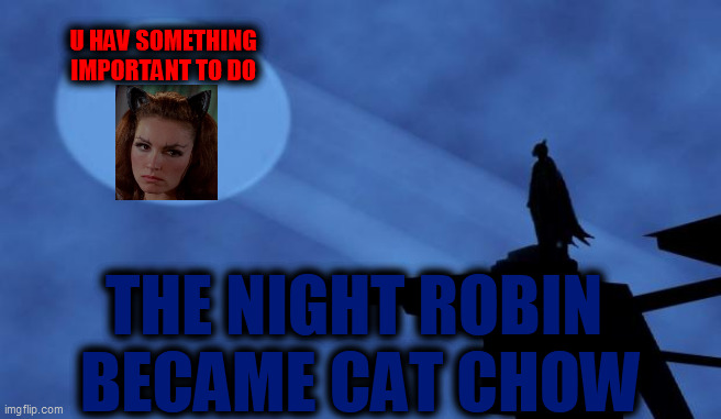 batman signal | U HAV SOMETHING
IMPORTANT TO DO THE NIGHT ROBIN 
BECAME CAT CHOW | image tagged in batman signal | made w/ Imgflip meme maker