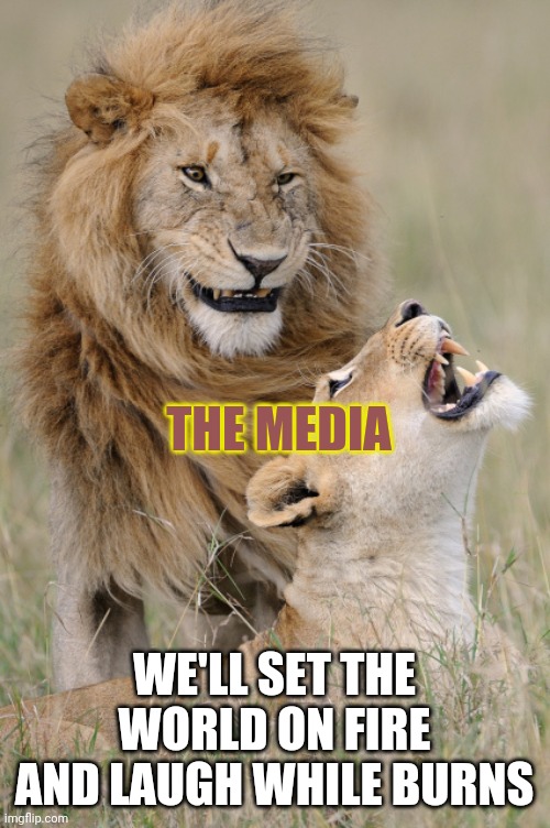 Plotting Lions | THE MEDIA WE'LL SET THE WORLD ON FIRE AND LAUGH WHILE BURNS | image tagged in plotting lions | made w/ Imgflip meme maker