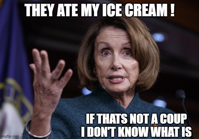 Good old Nancy Pelosi | THEY ATE MY ICE CREAM ! IF THATS NOT A COUP I DON'T KNOW WHAT IS | image tagged in good old nancy pelosi | made w/ Imgflip meme maker