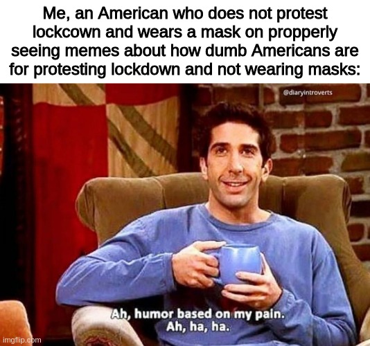 I'm surrounded by idiots. Help requested. | Me, an American who does not protest lockcown and wears a mask on propperly seeing memes about how dumb Americans are for protesting lockdown and not wearing masks: | image tagged in ah humor based on my pain | made w/ Imgflip meme maker