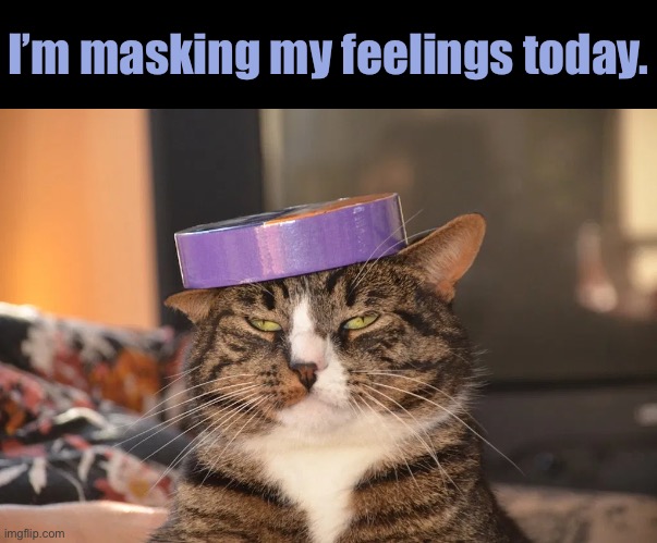 Masking Tape | I’m masking my feelings today. | image tagged in funny memes,funny cat memes,cats,funny,feelings | made w/ Imgflip meme maker