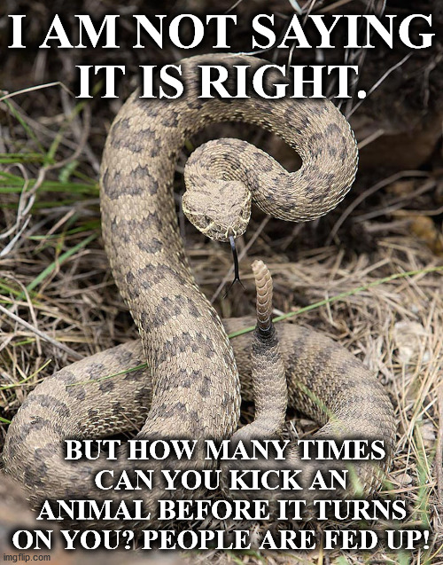 snake | I AM NOT SAYING IT IS RIGHT. BUT HOW MANY TIMES CAN YOU KICK AN ANIMAL BEFORE IT TURNS ON YOU? PEOPLE ARE FED UP! | image tagged in snake | made w/ Imgflip meme maker