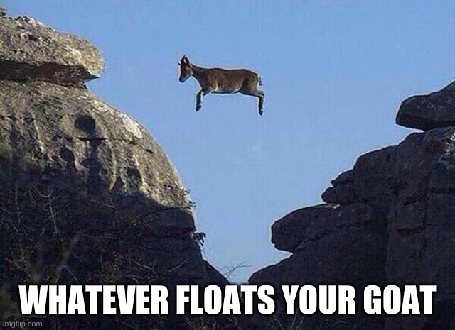 Whatever floats your goat | WHATEVER FLOATS YOUR GOAT | image tagged in whatever floats your goat | made w/ Imgflip meme maker