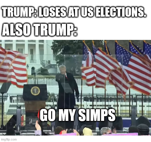 Go my simps | TRUMP: LOSES AT US ELECTIONS. ALSO TRUMP:; GO MY SIMPS | image tagged in blank white template,donald trump,simp,america,oh wow are you actually reading these tags | made w/ Imgflip meme maker