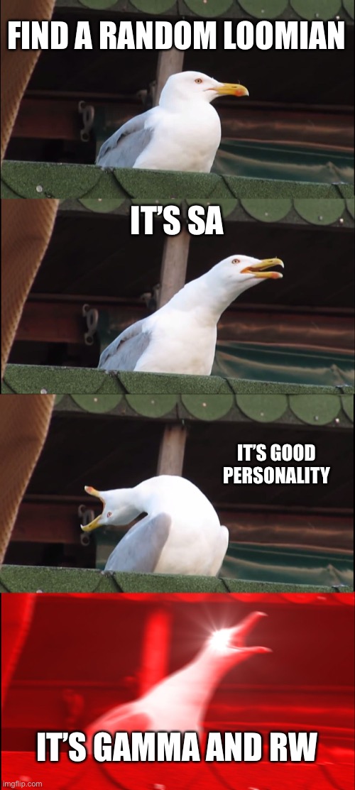 If you don’t play loomian legacy you won’t understand | FIND A RANDOM LOOMIAN; IT’S SA; IT’S GOOD PERSONALITY; IT’S GAMMA AND RW | image tagged in memes,inhaling seagull | made w/ Imgflip meme maker