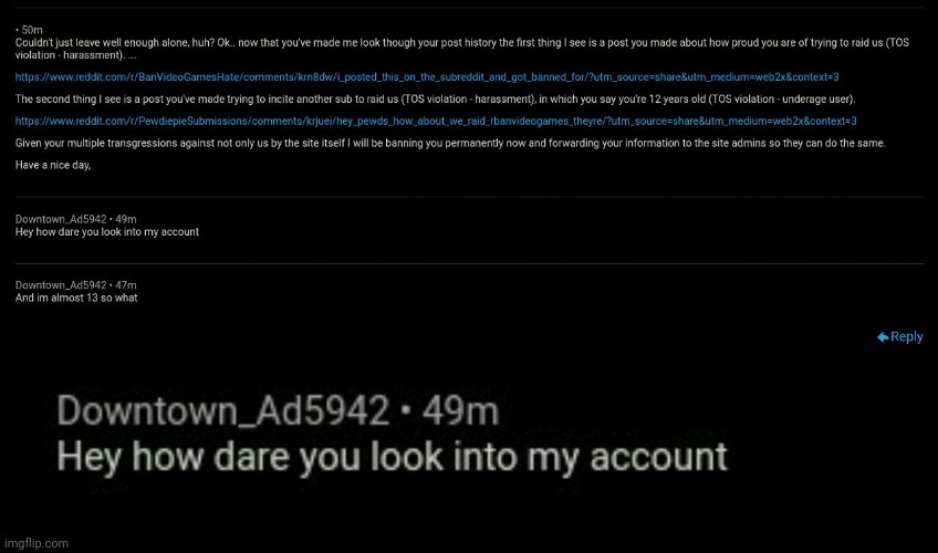 Owner speaking they have sneaked into my profile and notice my post about r/Banvideogames raid at pewdiepie submission | image tagged in raid | made w/ Imgflip meme maker