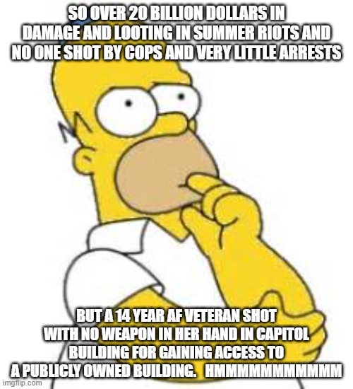 THings that make you go hmmmmmmmm | SO OVER 20 BILLION DOLLARS IN DAMAGE AND LOOTING IN SUMMER RIOTS AND NO ONE SHOT BY COPS AND VERY LITTLE ARRESTS; BUT A 14 YEAR AF VETERAN SHOT WITH NO WEAPON IN HER HAND IN CAPITOL BUILDING FOR GAINING ACCESS TO A PUBLICLY OWNED BUILDING.   HMMMMMMMMMMM | image tagged in homer simpson hmmmm | made w/ Imgflip meme maker
