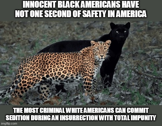 Capitol protesters | INNOCENT BLACK AMERICANS HAVE NOT ONE SECOND OF SAFETY IN AMERICA; THE MOST CRIMINAL WHITE AMERICANS CAN COMMIT SEDITION DURING AN INSURRECTION WITH TOTAL IMPUNITY | image tagged in blm | made w/ Imgflip meme maker
