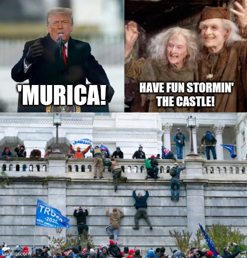 Have fun storming the castle | HAVE FUN STORMIN'
THE CASTLE! 'MURICA! | image tagged in donald trump,trump,capitol hill,protest,election,congress | made w/ Imgflip meme maker