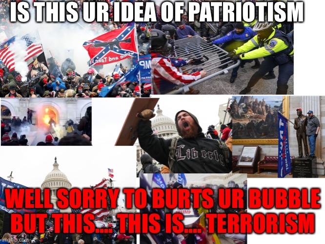 ARE YOU HAPPY TERRORISTS | IS THIS UR IDEA OF PATRIOTISM; WELL SORRY TO BURTS UR BUBBLE BUT THIS.... THIS IS.... TERRORISM | image tagged in 2021 | made w/ Imgflip meme maker