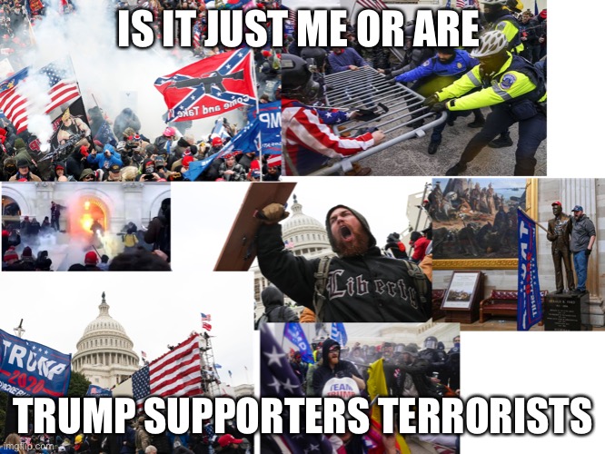 It’s the destruction of the capital for me | IS IT JUST ME OR ARE; TRUMP SUPPORTERS TERRORISTS | image tagged in 2021,what year is it | made w/ Imgflip meme maker