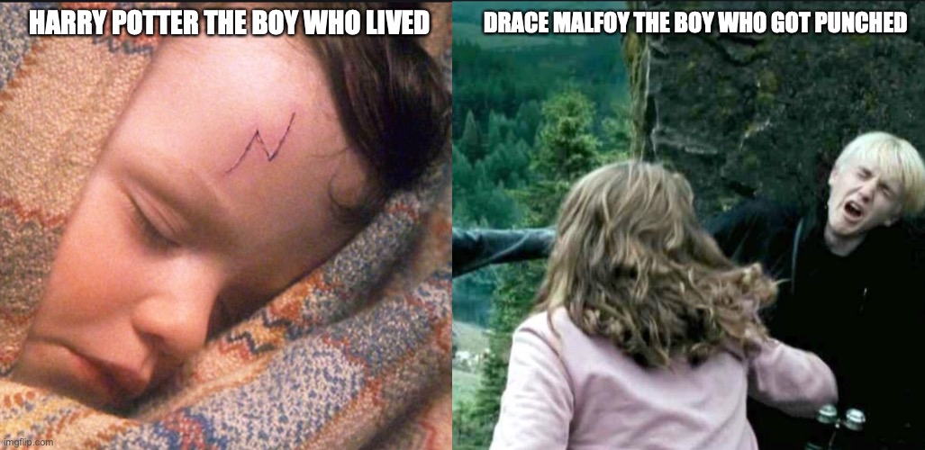 They both have a lot in common | HARRY POTTER THE BOY WHO LIVED; DRACE MALFOY THE BOY WHO GOT PUNCHED | image tagged in funny memes | made w/ Imgflip meme maker