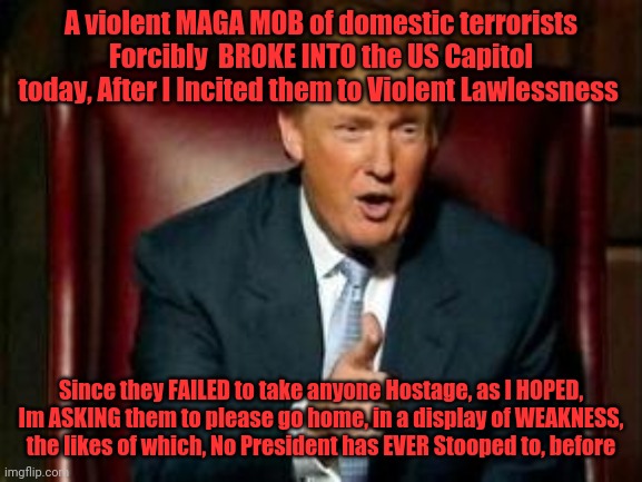 Donald Trump | A violent MAGA MOB of domestic terrorists Forcibly  BROKE INTO the US Capitol today, After I Incited them to Violent Lawlessness; Since they FAILED to take anyone Hostage, as I HOPED, Im ASKING them to please go home, in a display of WEAKNESS, the likes of which, No President has EVER Stooped to, before | image tagged in donald trump | made w/ Imgflip meme maker