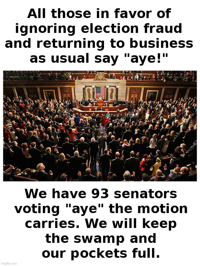 All Those In Favor Say "Aye!" | image tagged in congress,swamp,government corruption,drain the swamp trump,voter fraud,democrats | made w/ Imgflip meme maker