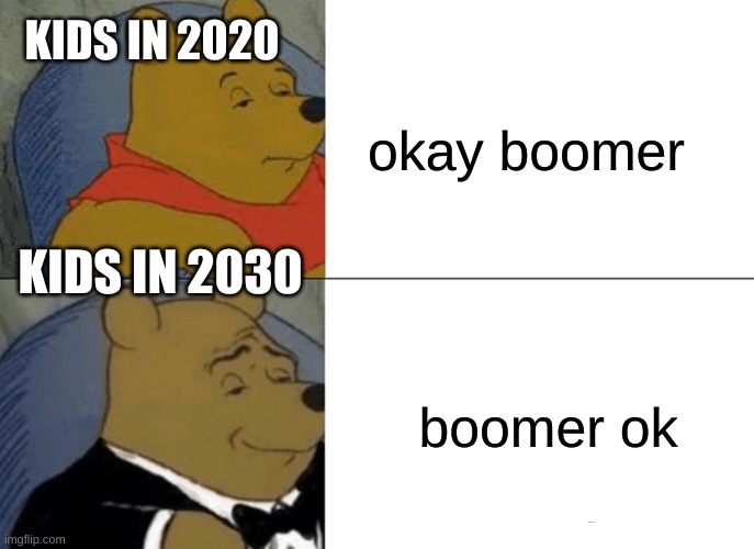 Tuxedo Winnie The Pooh | KIDS IN 2020; okay boomer; KIDS IN 2030; boomer ok | image tagged in memes,tuxedo winnie the pooh | made w/ Imgflip meme maker