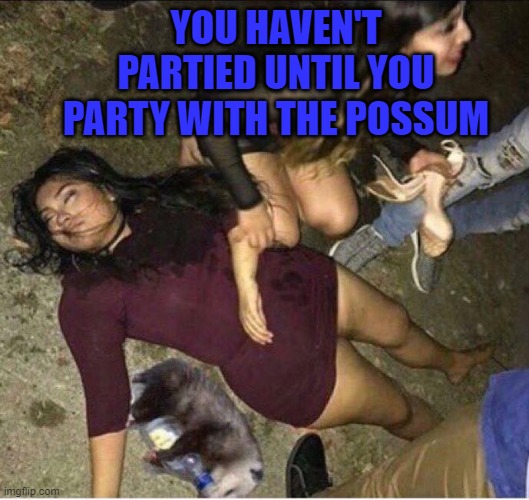 That's my kind of party! | YOU HAVEN'T PARTIED UNTIL YOU PARTY WITH THE POSSUM | image tagged in drunk possum,party hard,memes | made w/ Imgflip meme maker