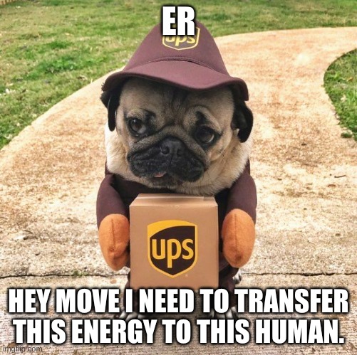 Pug package | ER; HEY MOVE I NEED TO TRANSFER THIS ENERGY TO THIS HUMAN. | image tagged in pug package | made w/ Imgflip meme maker
