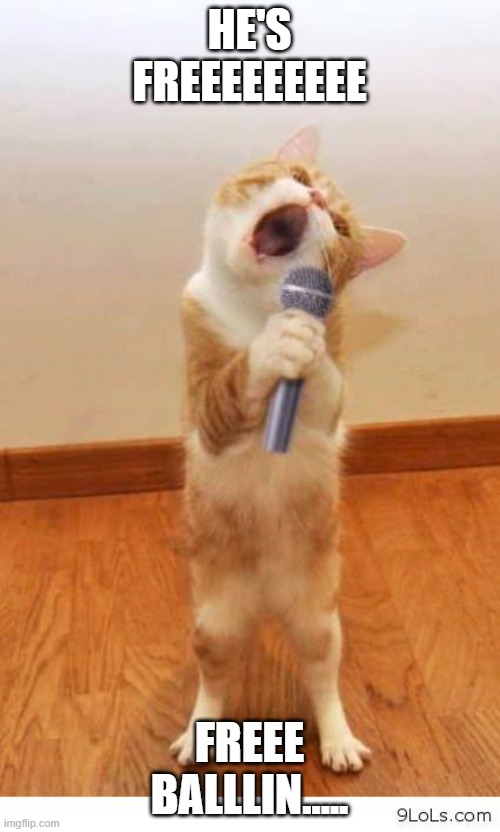 Cat Singer | HE'S FREEEEEEEEE FREEE BALLLIN..... | image tagged in cat singer | made w/ Imgflip meme maker