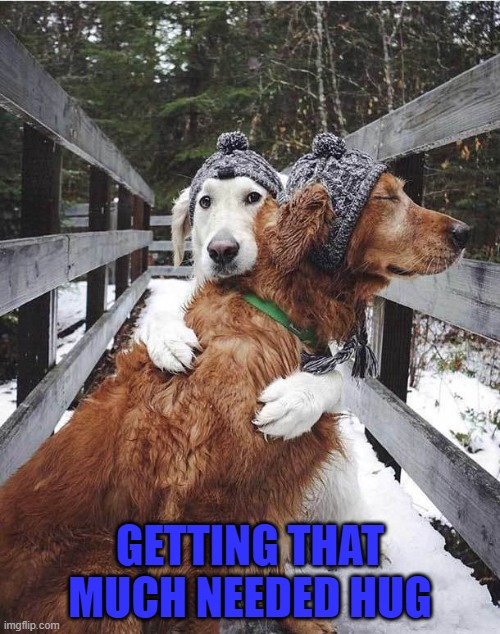 Hugs can do wonders... | GETTING THAT MUCH NEEDED HUG | image tagged in dogs,hug | made w/ Imgflip meme maker