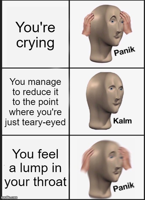 POV: you're crying | You're crying; You manage to reduce it to the point where you're just teary-eyed; You feel a lump in your throat | image tagged in memes,panik kalm panik | made w/ Imgflip meme maker