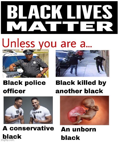Not all black lives matter to BLM | image tagged in blm,black lives matter,democrats,stupid liberals,libtards | made w/ Imgflip meme maker