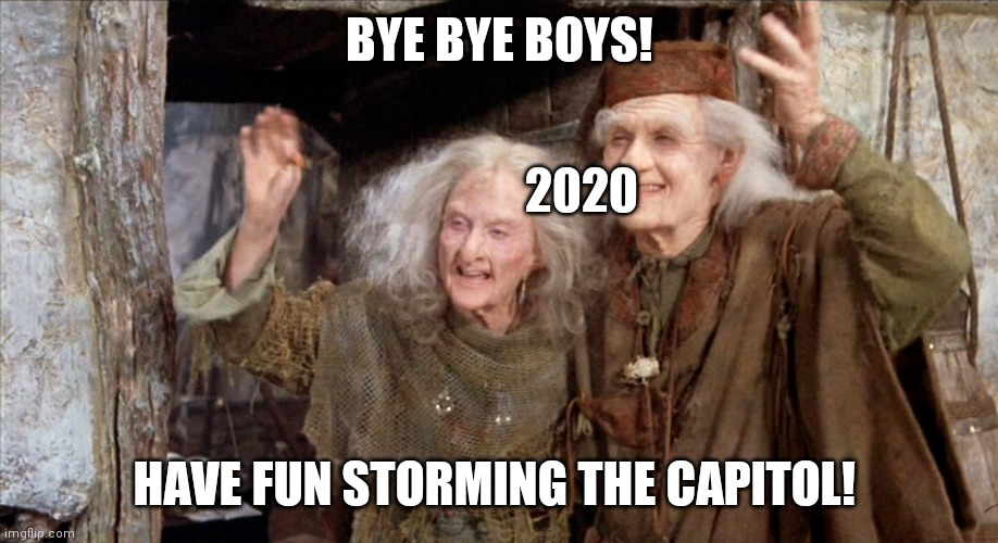 2020 to 2021 | BYE BYE BOYS! 2020; HAVE FUN STORMING THE CAPITOL! | image tagged in princess bride,2020,2021 | made w/ Imgflip meme maker