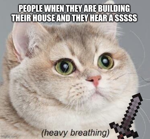 Scared Cat | PEOPLE WHEN THEY ARE BUILDING THEIR HOUSE AND THEY HEAR A SSSSS | image tagged in memes,heavy breathing cat | made w/ Imgflip meme maker