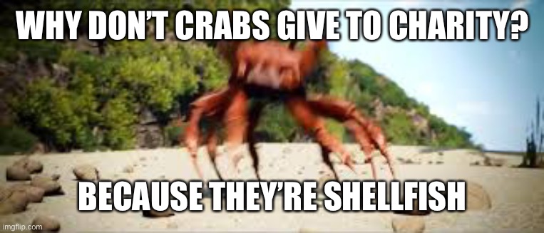 Oop | WHY DON’T CRABS GIVE TO CHARITY? BECAUSE THEY’RE SHELLFISH | image tagged in crab rave,dad joke | made w/ Imgflip meme maker