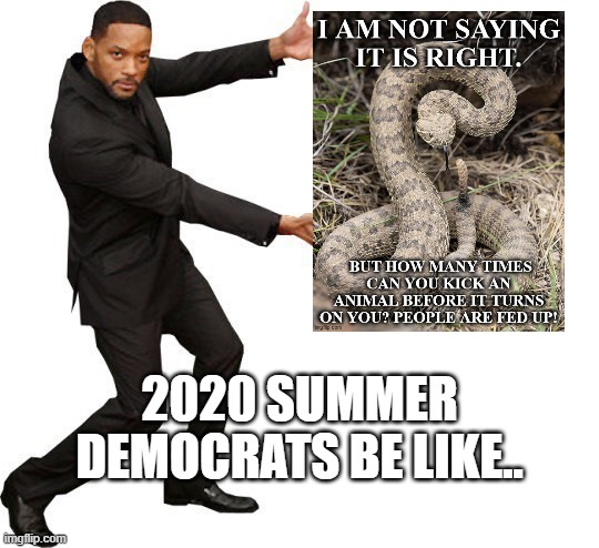 Tada Will smith | 2020 SUMMER DEMOCRATS BE LIKE.. | image tagged in tada will smith | made w/ Imgflip meme maker