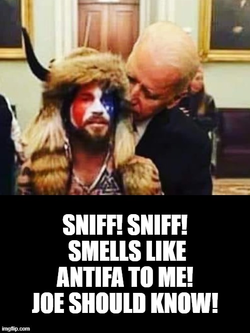 Sniff! Sniff! | SNIFF! SNIFF!  SMELLS LIKE ANTIFA TO ME! JOE SHOULD KNOW! | image tagged in joe biden | made w/ Imgflip meme maker