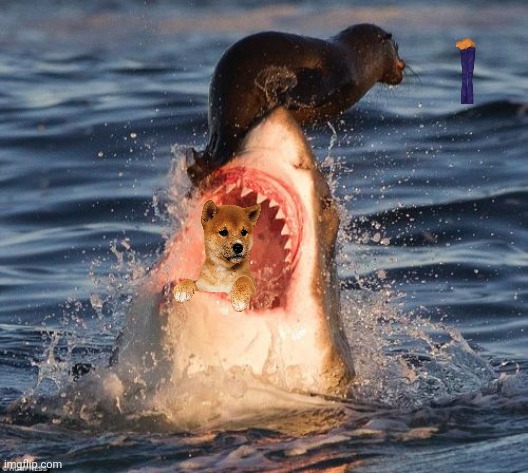 Seal watches waluigi die during shark ride | image tagged in memes,travelonshark | made w/ Imgflip meme maker