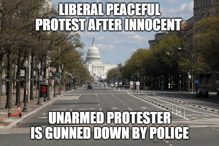 Liberal Protest | LIBERAL PEACEFUL PROTEST AFTER INNOCENT; UNARMED PROTESTER IS GUNNED DOWN BY POLICE | image tagged in liberal logic,protest,capitol,peaceful | made w/ Imgflip meme maker