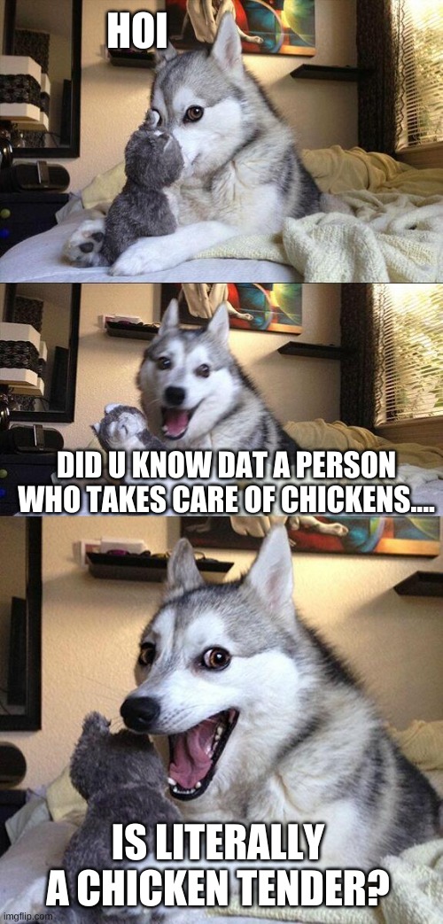 dem chickie tenders | HOI; DID U KNOW DAT A PERSON WHO TAKES CARE OF CHICKENS.... IS LITERALLY A CHICKEN TENDER? | image tagged in memes,bad pun dog | made w/ Imgflip meme maker
