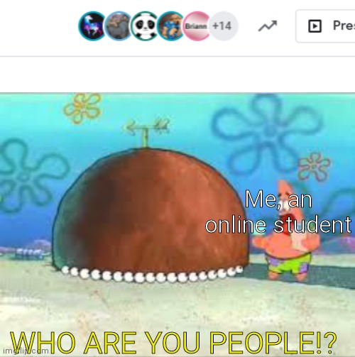 Me, an online student; WHO ARE YOU PEOPLE!? | image tagged in who are you people | made w/ Imgflip meme maker