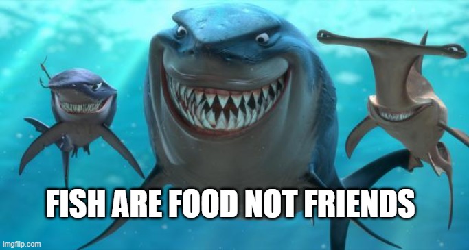 Fish are friends not food | FISH ARE FOOD NOT FRIENDS | image tagged in fish are friends not food | made w/ Imgflip meme maker