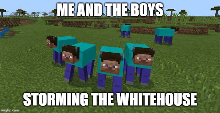 that was wild af | ME AND THE BOYS; STORMING THE WHITEHOUSE | image tagged in me and the boys | made w/ Imgflip meme maker