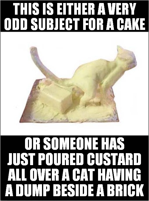 Novelty Cake Or Cat Cruelty ? | THIS IS EITHER A VERY ODD SUBJECT FOR A CAKE; OR SOMEONE HAS JUST POURED CUSTARD ALL OVER A CAT HAVING A DUMP BESIDE A BRICK | image tagged in novelty cake,cat,cruelty,custard,dump | made w/ Imgflip meme maker